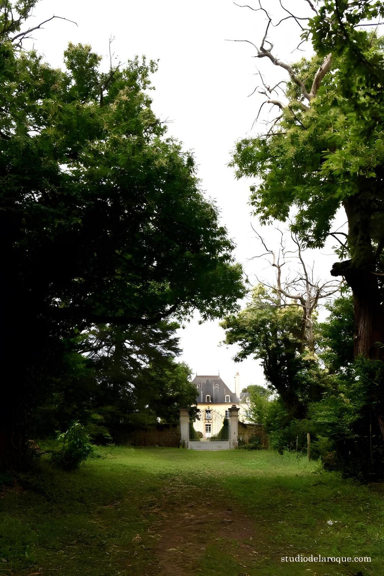 Domaine De La Briouse Bed & Breakfast Sanxay Екстериор снимка