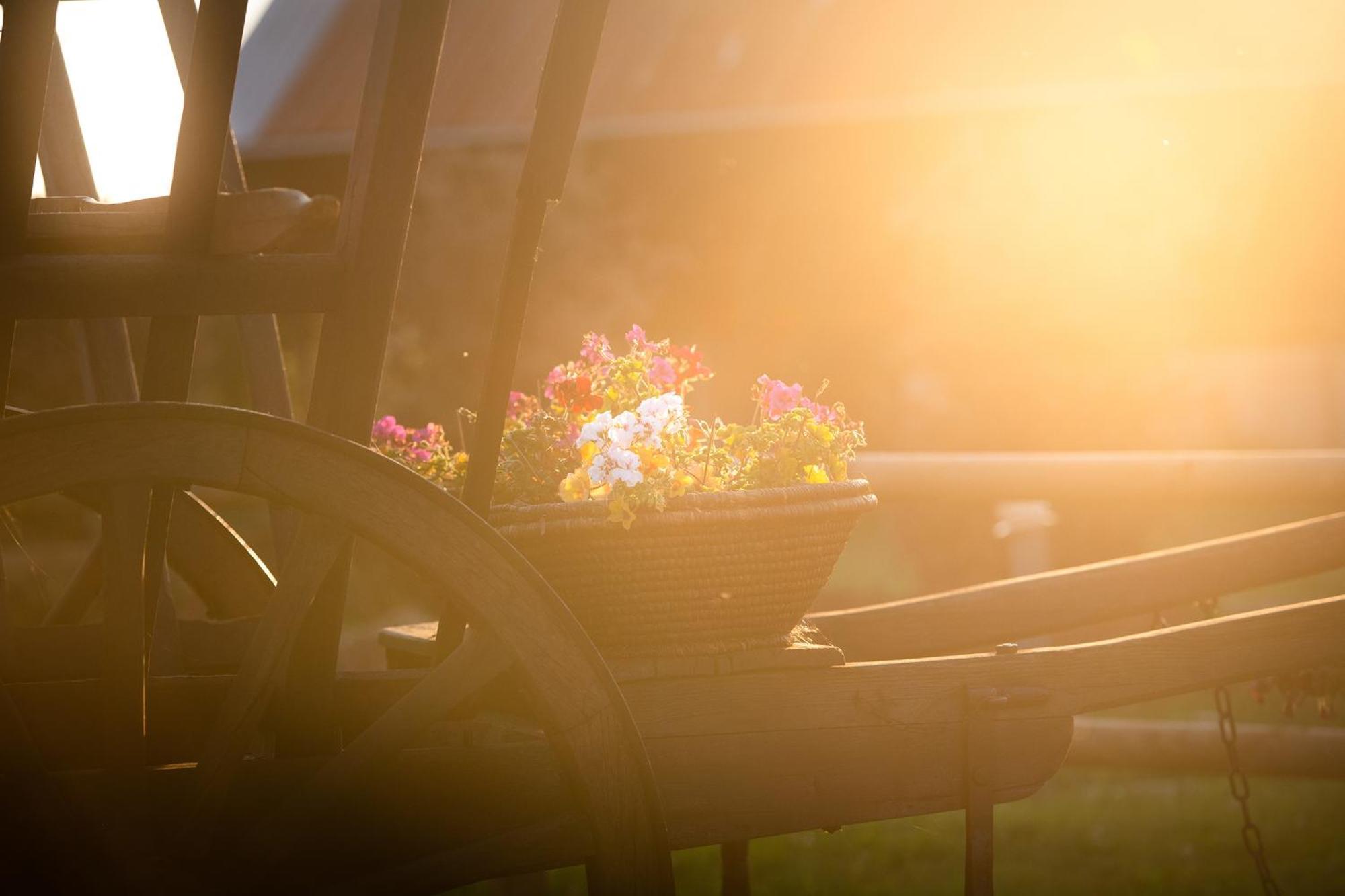 Domaine De La Briouse Bed & Breakfast Sanxay Екстериор снимка